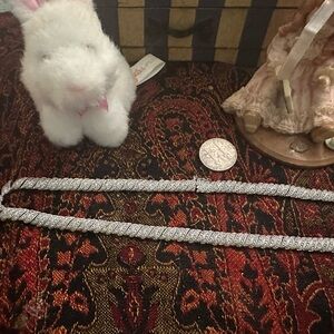 Silver Pet Leash for Small Pets